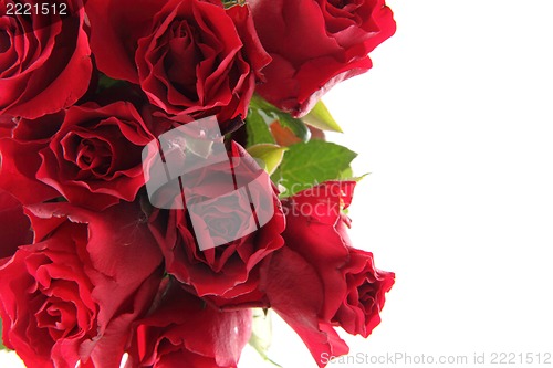 Image of fresh red roses as frame