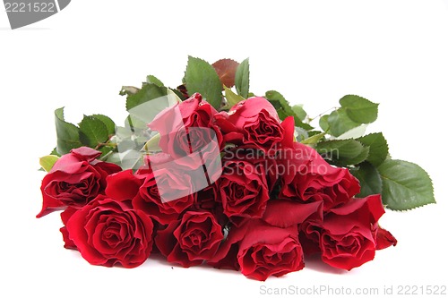 Image of fresh red roses i