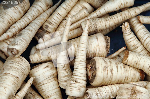 Image of parsley roots background