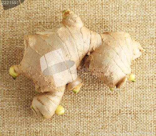 Image of ginger close up