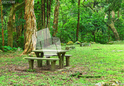 Image of picnic place in forest