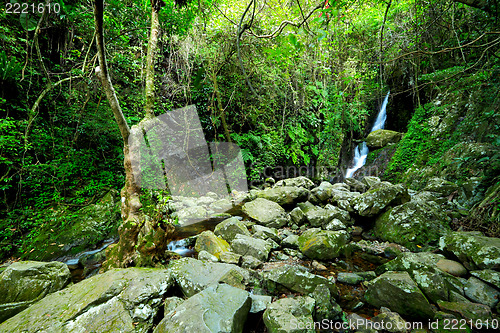 Image of Forest with waterfall