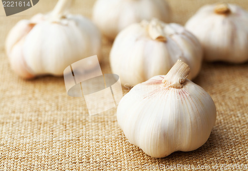 Image of Garlic