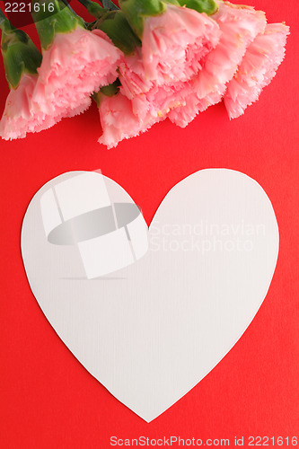 Image of Pink carnation with mother's day love message
