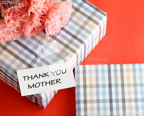 Image of Gift and pink carnations flower for Mother's Day