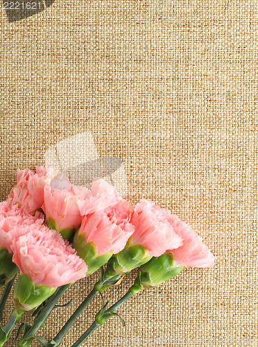 Image of carnation on the linen pattern 