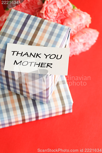 Image of Gift and pink carnations flower for Mother's Day