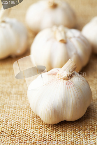 Image of Garlic