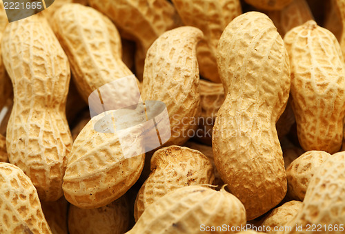 Image of peanut