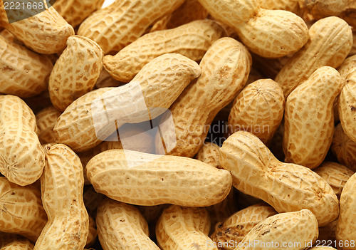 Image of peanut