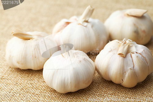 Image of Garlic