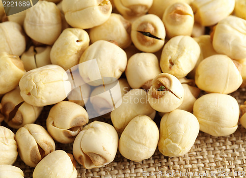 Image of dry lotus seed