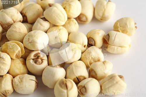 Image of dry lotus seed