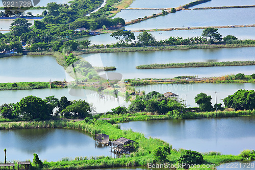 Image of Fish hatchery pond