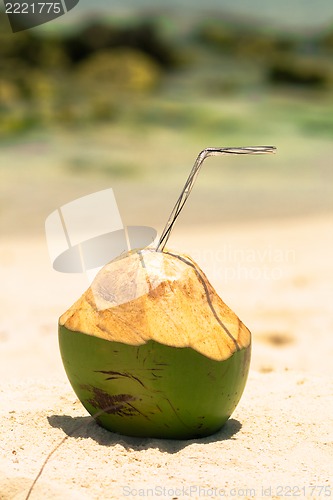 Image of Coconut with drinking straw on a palm tree at the sea