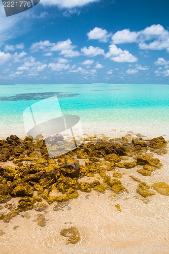 Image of the tropical sea with blue water, Maldives