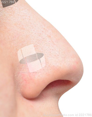Image of human nose