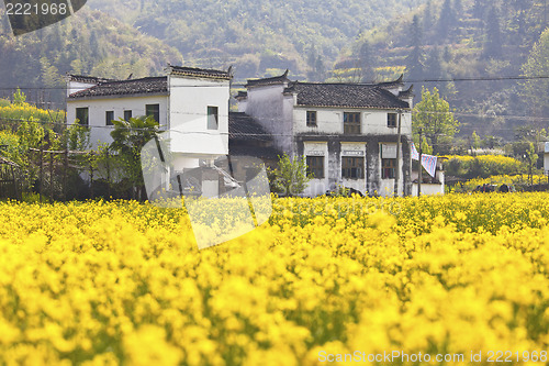 Image of Rural houses in Wuyuan, Jiangxi Province, China.