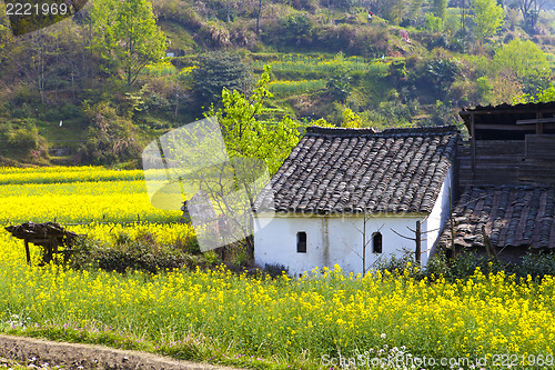 Image of Wuyuan landscape in China at spring