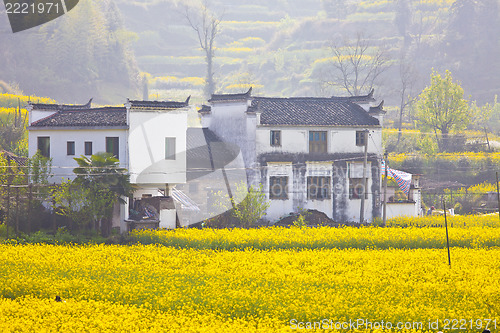 Image of Wuyuan landscape in China at spring