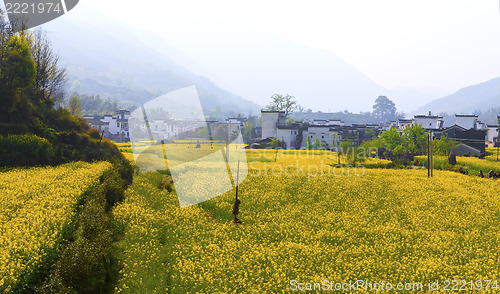 Image of Rural landscape in Wuyuan, Jiangxi Province, China.