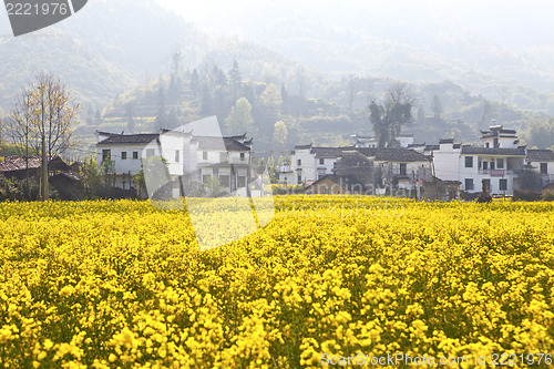 Image of Rural landscape in Wuyuan, Jiangxi Province, China. 