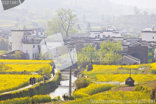 Image of Rural landscape in Wuyuan, China with many rape flowers.