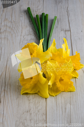 Image of Jonquil flowers