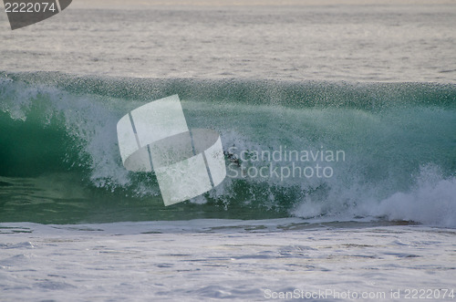 Image of Yadin Nicol