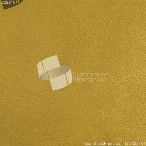 Image of Green leather