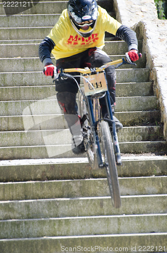Image of Pedro Martins