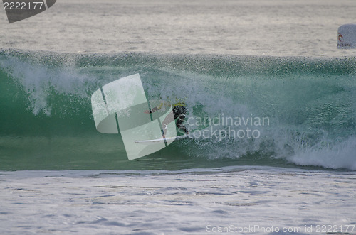 Image of Yadin Nicol