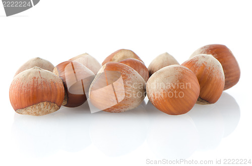 Image of Fresh hazelnuts 