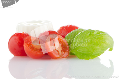 Image of Fresh white cheese
