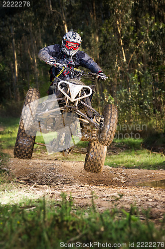 Image of Quad rider jumping