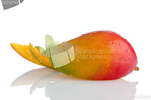 Image of Mango fruit