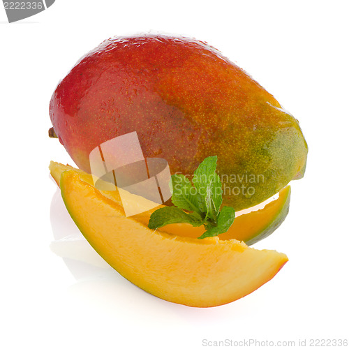 Image of Mango fruit