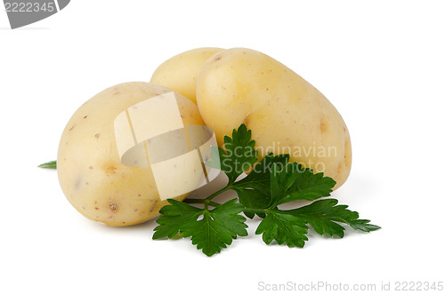 Image of New potatoes and green parsley