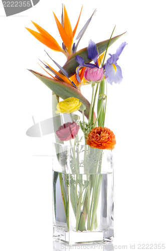Image of Flowers bouquet