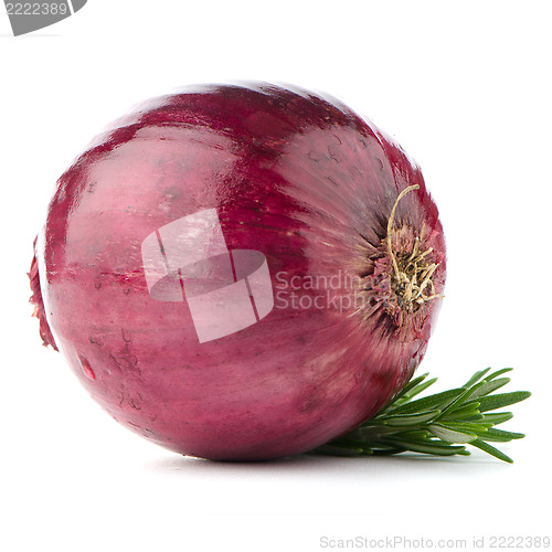 Image of Red onion