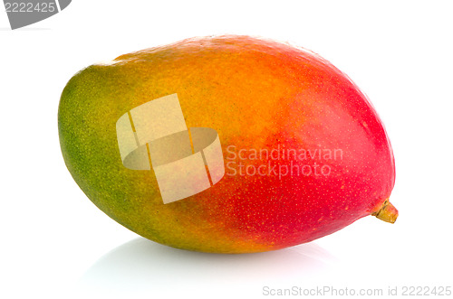 Image of Mango fruit