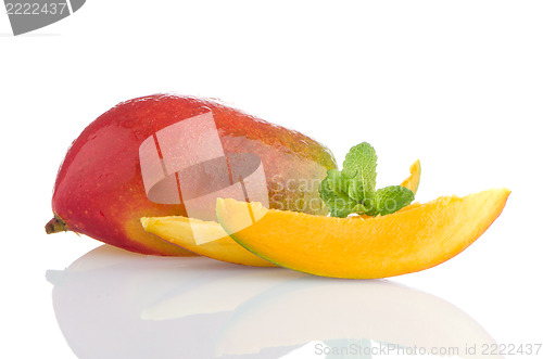 Image of Mango fruit