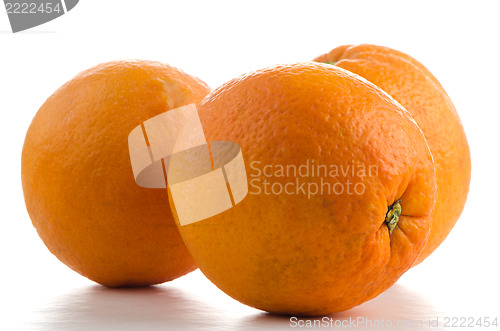 Image of Fresh ripe oranges