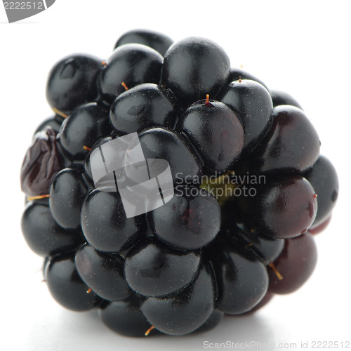 Image of Blackberry