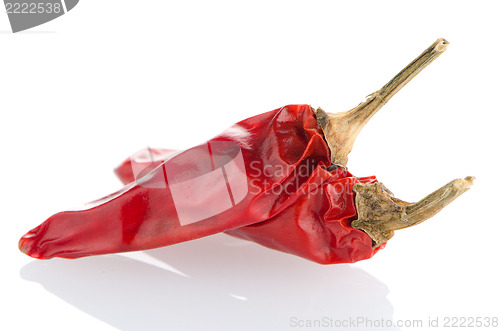 Image of Two red hot chili pepper