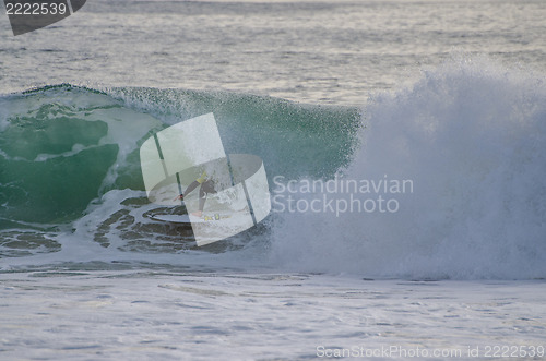 Image of Yadin Nicol