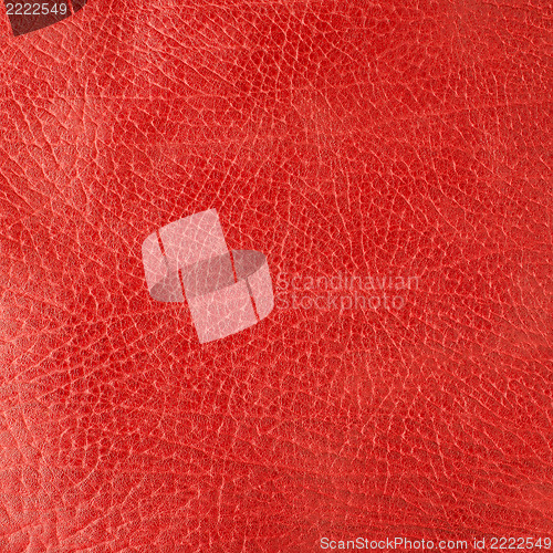 Image of Red leather 