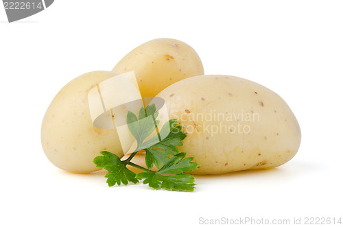 Image of New potatoes and green parsley