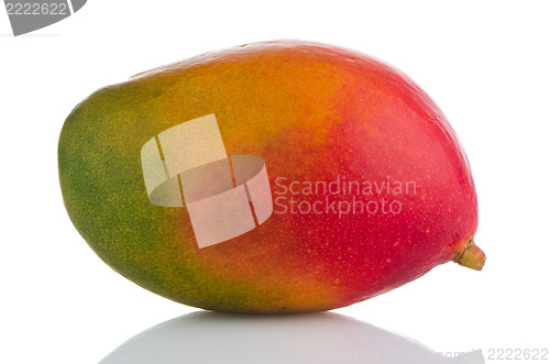 Image of Mango fruit