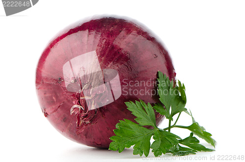 Image of Red onion tuber and fresh parsley